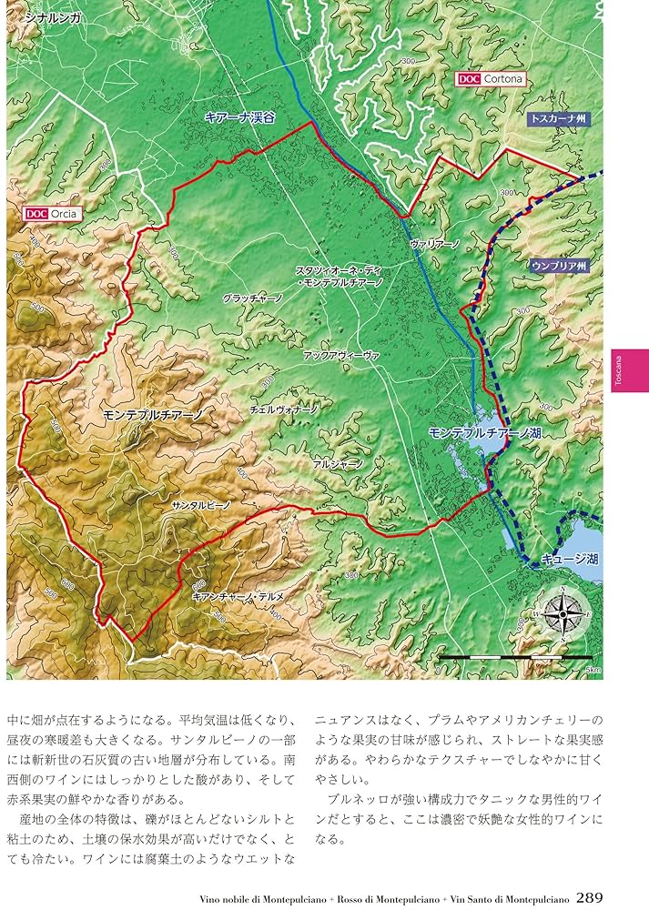 イタリアワイン産地ガイド／中川原まゆみ イタリアワイン産地ガイド | 中川原 まゆみ, 坂本 雄一 |本